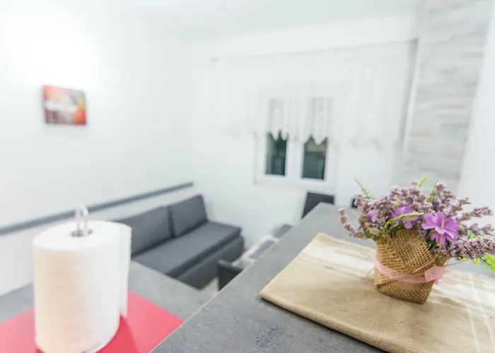 Dugi Otok 아파트 살리